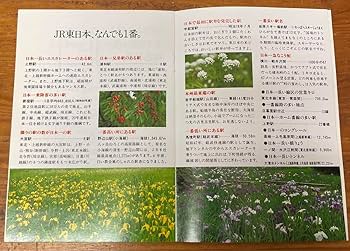 Amazon.co.jp: JR東日本創立記念 EEきっぷ : おもちゃ